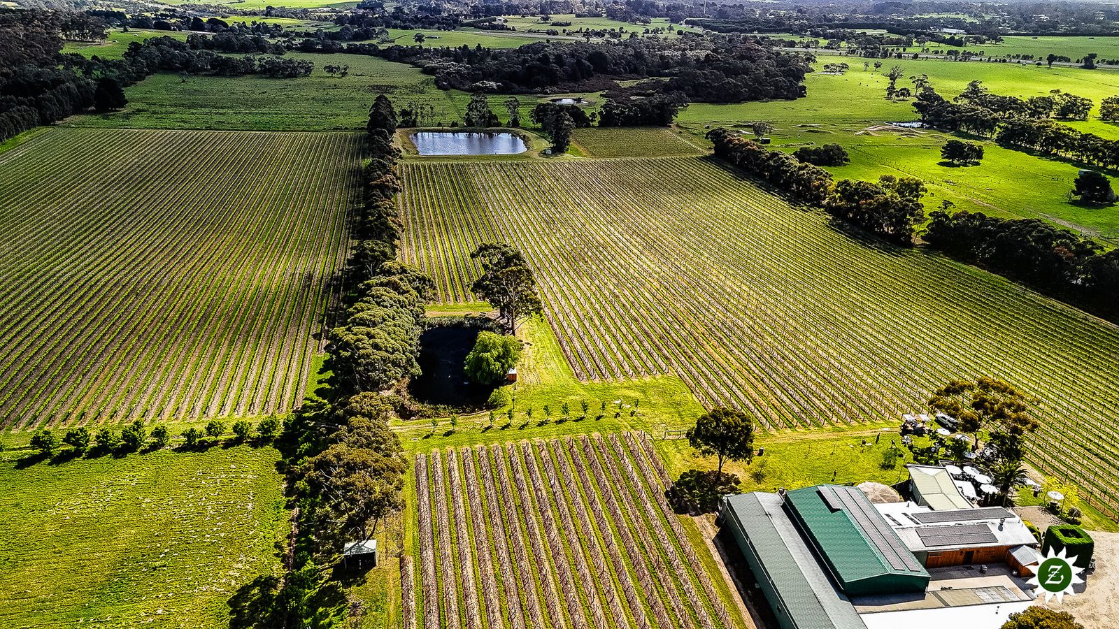 The Zantvoort family among the vines