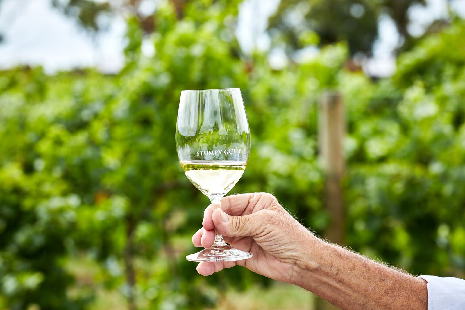 A tasting at the Stumpy Gully cellar door